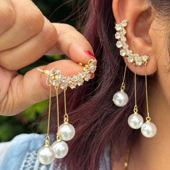 Golden Dewdrops Earnings